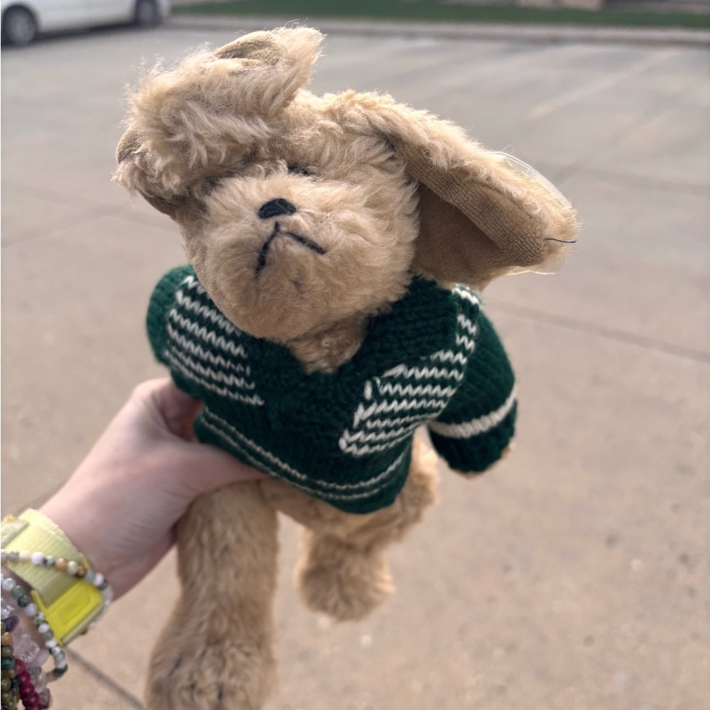 Ty Green and White Dog Sweater